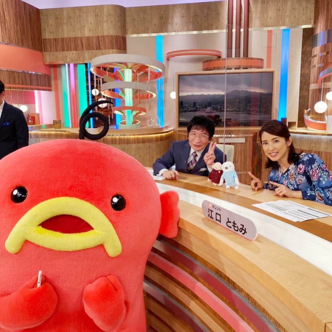 江口ともみさんのインスタグラム写真 - (江口ともみInstagram)「しょーいちだよ‼️ 今日は久しぶりになおたんに会えたんだよ💕  なおたん秋の装いでオシャレさん✨ 尾木先生とそっくりだからブローチもキラキラしてたよぉ😊  あのね、ボクたちエビシーのお天気の時に出てたんだけど、実は18時台もスタジオに隠れてたんだよ‼️  見てくれた人気付いたかな？！  ごいちくんママのスタイリストちゃんはボクたち撮影出来なかったらしい。でもかあさんがモニター越しにボクたち見えてた時あったって‼️  あ、なおたんの兄弟のらにおくん出演出来なかったんだけど、エビシーと裏で遊んでたらしい😊  来月はらにおくん登場しなよね‼️  #fumofumosan #フモフモさん #しょーいち#なおたん #らにおくん #尾木直樹先生#尾木ママ  #abcキャスト #エビシー」9月25日 21時12分 - tomomin.eguchi