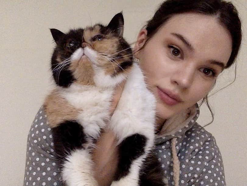 Pudgeさんのインスタグラム写真 - (PudgeInstagram)「10 years ago today I drove all the way to Chicago to get little baby Pudge. She cuddled my leg on the drive home and never wanted to leave my side once we got home - I’d carry her little 1.2lb body around in my hand so she could get some snoozes while still touching me.  When I got home, I snapped a quick photo on my computer & I’ve recreated that photo every year on this day ❤️❤️❤️ #pudgeversary #babypudge」9月26日 7時44分 - pudgethecat