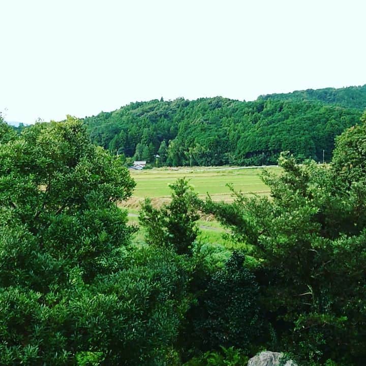 杉田芳尚のインスタグラム：「・  ・  別に、どーってことのない実家での朝。  秋風が心地よいので、しばらく目を閉じて深呼吸……。  流行り病の事も忘れられそう。  ただ今日は、#太陽光 でROCKする #thesolarbudokan  と、#豊田合成ブルーファルコンの #ハンドボール の試合の #MC があるだけ…☆  #ハイブリッドフェス #中津川 #Handball #この季節の朝一の風は癒し #あとは白湯を飲んだら目覚める気がします #健康志向ではないけど #病気にはなりたくないので!」