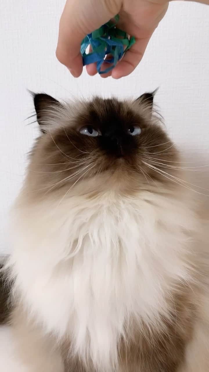 plumeのインスタグラム