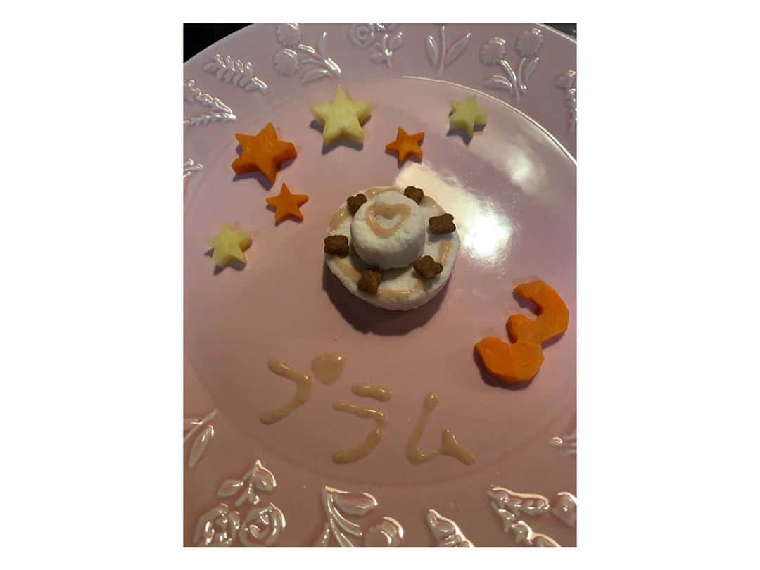 譜久村聖さんのインスタグラム写真 - (譜久村聖Instagram)「昨日9/24は愛猫プラムたんの3歳のお誕生日🍰🎉  おうちでプラムたんの大好物 ささみのケーキを作りました⋈*｡ﾟ  すり鉢でささみをペースト状にして丸く型を取って上にいつも食べてるフードとちゅーるで飾り付け💕  可愛いくできた〜🧁✨笑  #プラム #お誕生日 #3歳 #プラムたんかわいい  #誕生日ケーキ #猫 #ねこ #にゃんすたぐらむ #morningmusume20 #モーニング娘20 #譜久村聖」9月25日 23時19分 - mizuki_fukumura.official