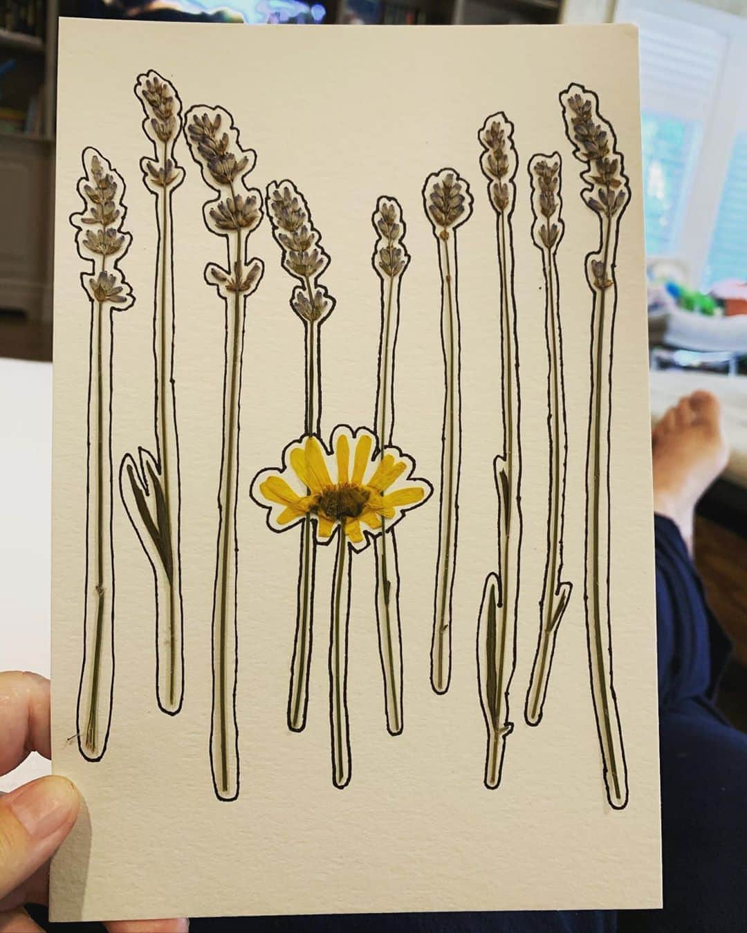ロージー・オドネルさんのインスタグラム写真 - (ロージー・オドネルInstagram)「simplicity #pressedflowers #doodle #art」9月25日 23時43分 - rosie