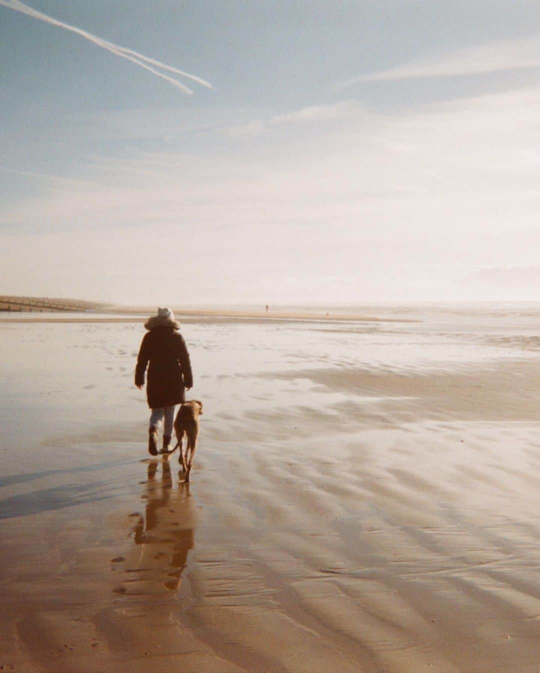 Estée Lalondeのインスタグラム：「To live in this world   you must be able  to do three things:  to love what is mortal;  to hold it   against your bones knowing  your own life depends on it;  and, when the time comes to let it  go,  to let it go.   -Mary Oliver In Blackwater Woods   🌾🌾🌾  ❤️🐅✨」