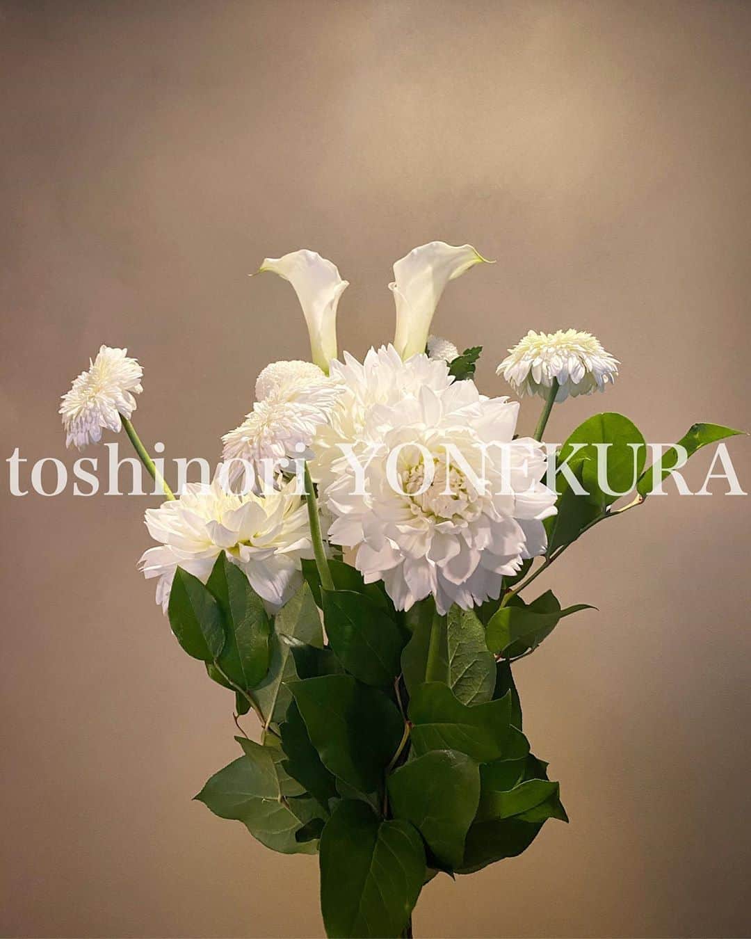 のインスタグラム：「flowers of this week #男花 #花のある生活」