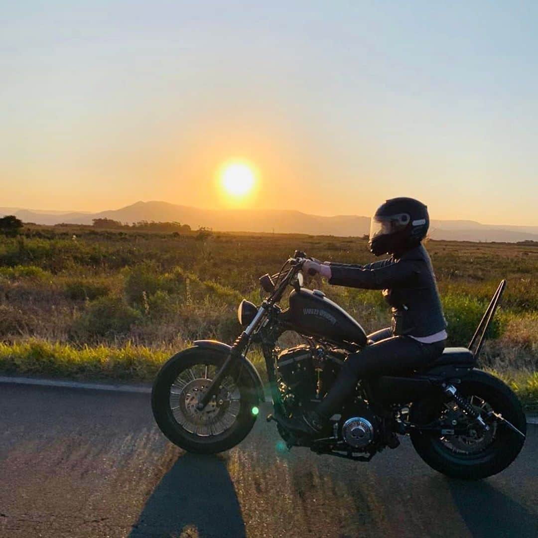 Harley-Davidson Japanのインスタグラム