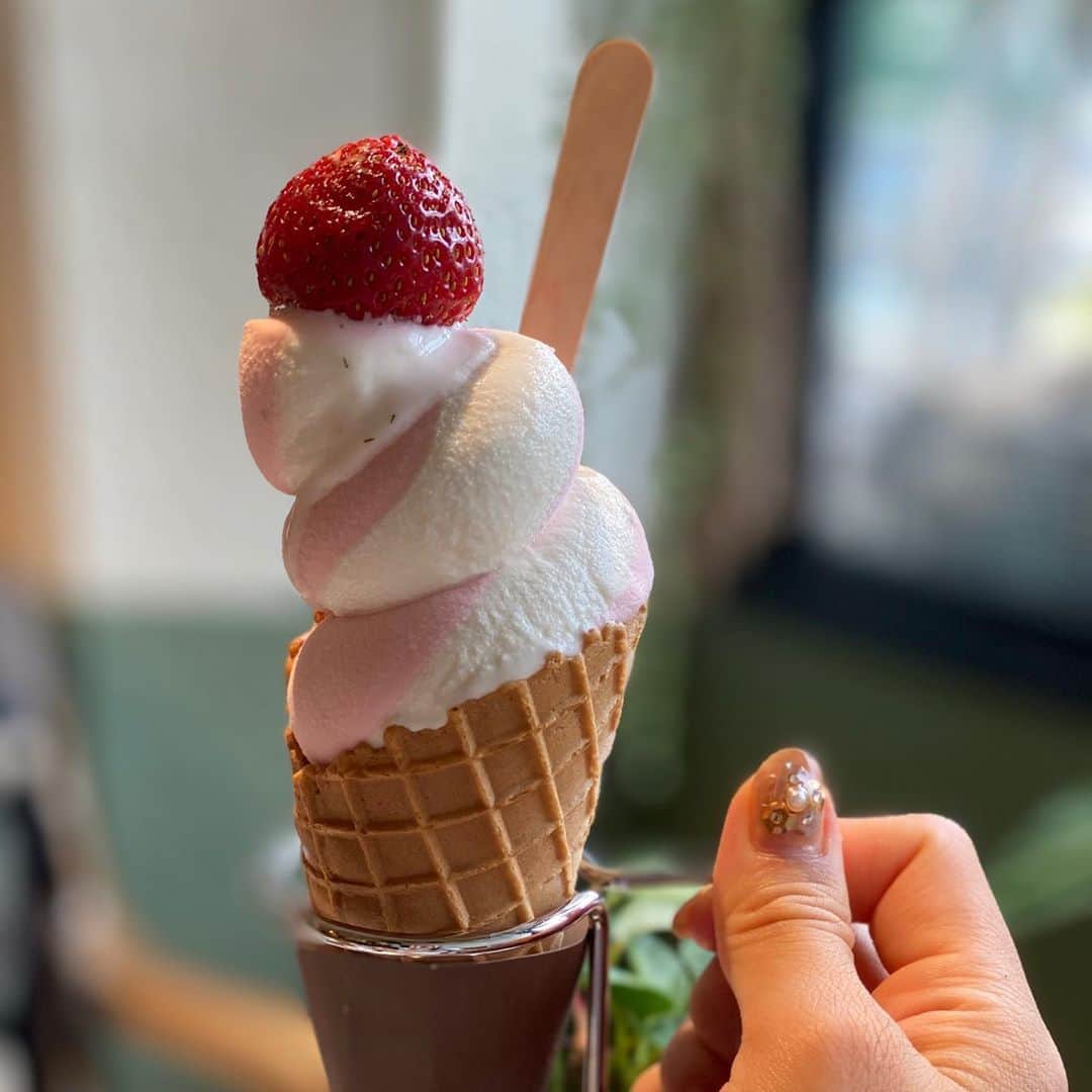 澤野井香里のインスタグラム：「子供達が思い切り走り回れる#万博記念公園 へ(*´꒳`*)﻿ ﻿ Sは迷路アスレチックにMはサッカー⚽️して、苺🍓ののった#万博ソフト　で休憩♡﻿ ﻿ それにしてもMは女の子なのに、おままごともしないし、トーマスや乗り物とボールが大好きで遊び方がまるで男の子😳❗️ ﻿ お兄ちゃんのいる妹あるあるなのかな？！w﻿ ﻿ #ks_20✨ #ks_osaka✨ #大阪 #万博記念公園　#ベビフル #ママリ #コドモノ #関西ママ #京都ママ #女の子ママ #男の子ママ　#ママライフ　#子供とおでかけ　#S⭐️_ #M🍒_  #s⭐️m🍒」