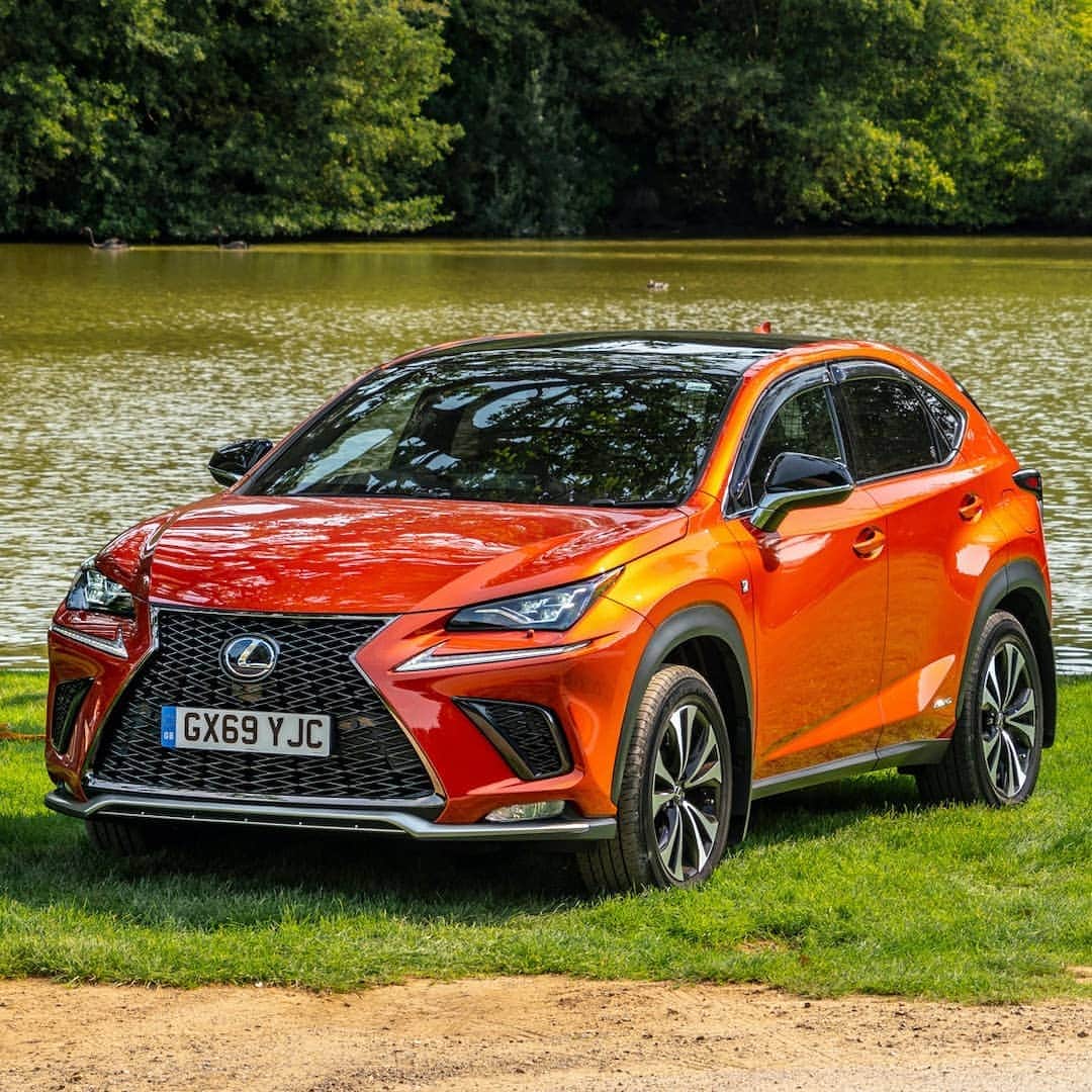 Lexus UKさんのインスタグラム写真 - (Lexus UKInstagram)「We offer several accessories for the #LexusNX that are intended to help keep that glorious paintwork blemish-free.  Mud flaps are effective at stopping loose stones and dirt from damaging the paintwork when driving on rough or uneven roads, while the stainless steel rear bumper protection plate stops the bumper from getting scratched or damaged.  Wind deflectors minimise in-cabin wind noise when you are travelling with the windows open.   Click the link in our bio to discover more.  #Design #CarDesign #Automotive #Lexus #CarsofInstagram #LuxuryTravel #Luxury #Lexus #Design #CarDesign #Automotive #Lexus #CarsofInstagram #LuxuryTravel #Luxury #Lexus #Dog #DogsofInstagram #DogWalking #RhodesianRidgeback @zulu_the_ridgeback_rules @tinekajane」9月26日 1時09分 - lexusuk