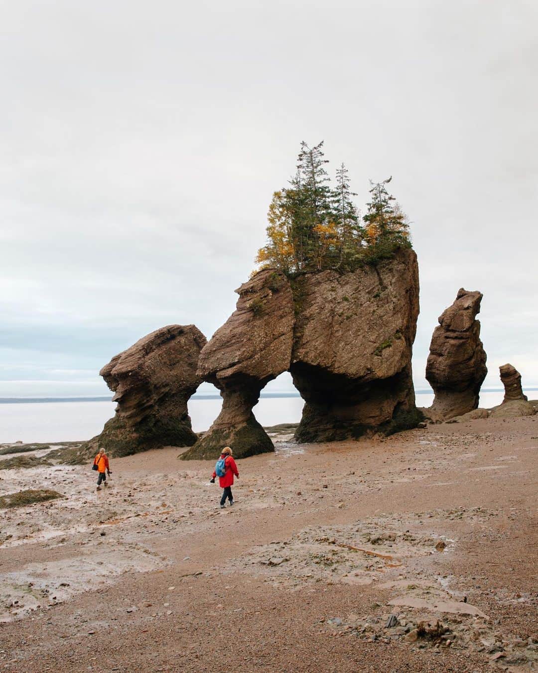 National Geographic Travelさんのインスタグラム写真 - (National Geographic TravelInstagram)「Photos by @MichaelGeorge / I know. This looks like a head. The Flowerpot Rocks are an unusual group of formations in the Bay of Fundy in eastern Canada. They’re advertised as a place where you can walk on the ocean floor. Twice a day these rocks are actually inaccessible, as the tide rises as much as 52 feet (16 meters), one of the largest tidal changes in the world.  My assistant and I arrived first thing in the morning, with the water far out, the seabed exposed, and the rocks standing mostly alone as seagulls greeted the gray sky. The coast of this area is made of sandstone that has slowly been worn away by the tidal cycle over thousands of years, leaving parts of the coastline detached and standing alone like you see here. Nature has continued to grow some lonely trees on the tops of these rocks, giving the illusion that they are giant freestanding flowerpots. One of the beautiful parts of the daily tides is that every six hours the ocean comes in and washes away every footprint and trace that people were ever here before.  For more photos and writing from my travels, follow along @MichaelGeorge. #bayoffundy #flowerpotrocks #canada #newbrunswick #tides」9月26日 1時23分 - natgeotravel