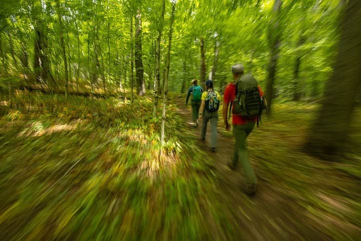 Tim Lamanさんのインスタグラム写真 - (Tim LamanInstagram)「Photos by @TimLaman.  Hiking in the forest in Michigan last month, I had a little fun with motion blur shots of my companions hiking ahead of me down the trail.  The effect adds a nice sense of action to the scene and is a lot of fun to experiment with.  For these shots I used a slow shutter between 1/6 sec and 1/10 sec.  I find it best to hold the camera in front of me (so I can still see where I’m walking), focus on the person in front of me, and fire bursts while trying to move as steadily as possible.  Success rate is low, but if enough of your subject is sharp, it works.  In shot 3 you can see my son @RussLaman trying it himself with his camera. #Michigan #hiking #motionblur #TL_WildlifePhotoTips」9月26日 1時32分 - timlaman
