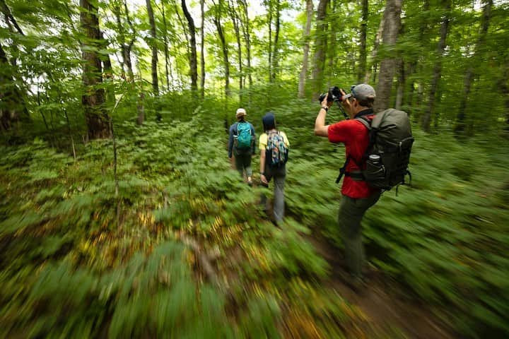 Tim Lamanさんのインスタグラム写真 - (Tim LamanInstagram)「Photos by @TimLaman.  Hiking in the forest in Michigan last month, I had a little fun with motion blur shots of my companions hiking ahead of me down the trail.  The effect adds a nice sense of action to the scene and is a lot of fun to experiment with.  For these shots I used a slow shutter between 1/6 sec and 1/10 sec.  I find it best to hold the camera in front of me (so I can still see where I’m walking), focus on the person in front of me, and fire bursts while trying to move as steadily as possible.  Success rate is low, but if enough of your subject is sharp, it works.  In shot 3 you can see my son @RussLaman trying it himself with his camera. #Michigan #hiking #motionblur #TL_WildlifePhotoTips」9月26日 1時32分 - timlaman