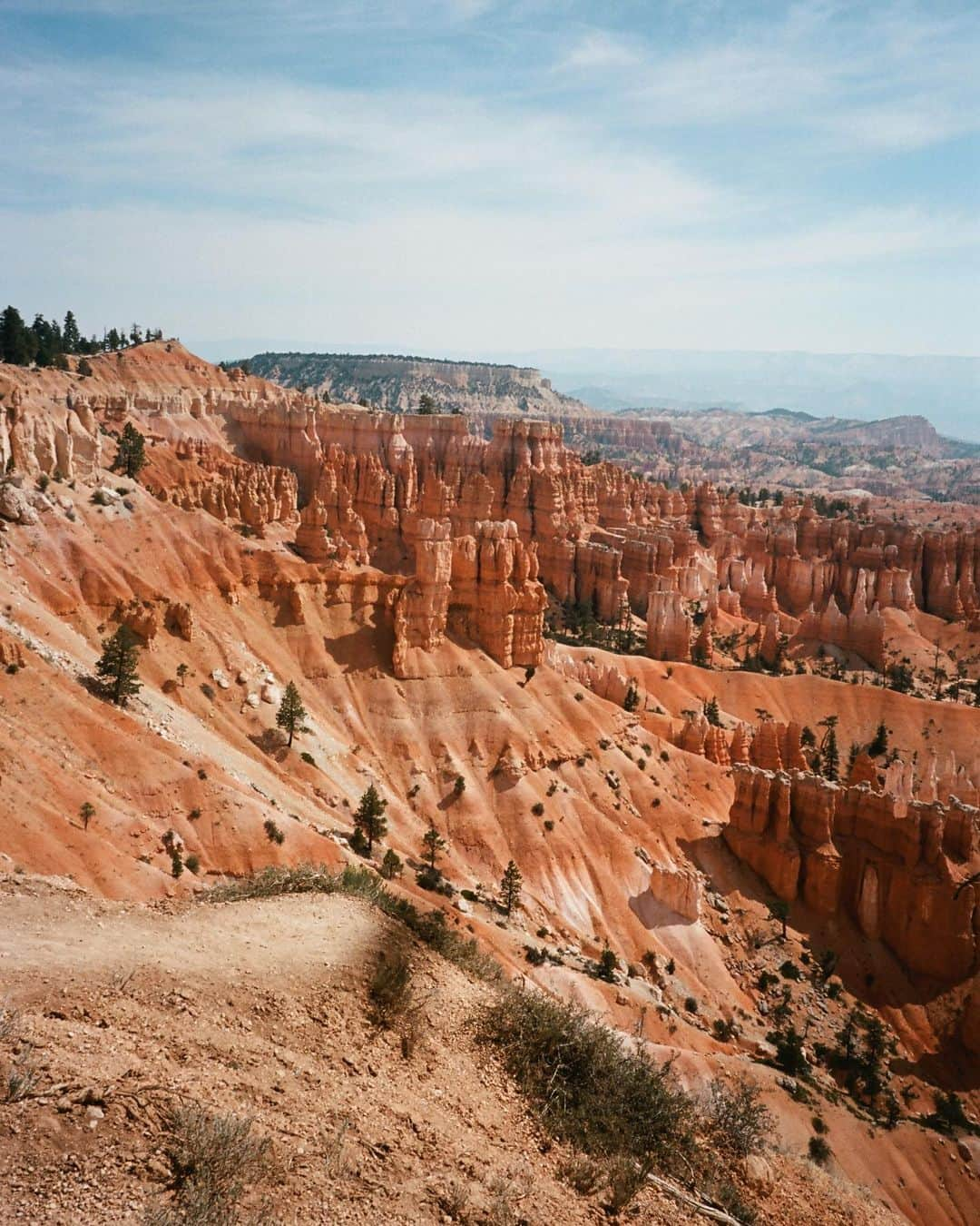 コートニー・ハルヴァーソンさんのインスタグラム写真 - (コートニー・ハルヴァーソンInstagram)「Our Summer roadtrip, on film. #ad We drove our @lincoln Aviator out to visit Utah and see some serious natural beauty. I was in charge of the snacks, the available massage seats, and the playlist, which is good because I really got to use the available 28 (!!!) speakers to their full effect. I don't think I've ever taken such a fun AND comfortable roadtrip; and now I can't wait to do it all again soon. #LincolnAviator #LincolnAmbassador  2020 Lincoln Aviator Black Label model shown available at participating Lincoln Black Label Dealers  Revel® and the Revel® logo are trademarks of Harman International Industries, registered in the United States and other countries. All rights reserved.」9月26日 2時20分 - prettylittlefawn