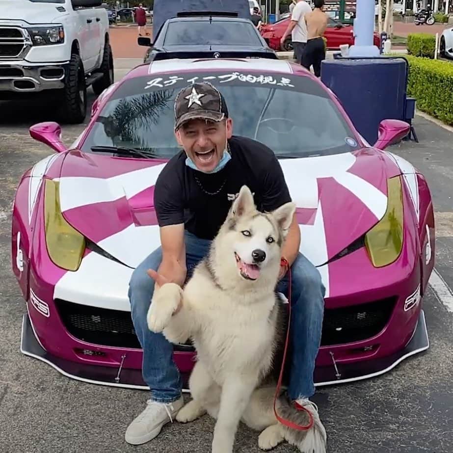 スティーブのインスタグラム：「Now that I’m in Texas I really want a dog especially after meeting this beauty!  I think I would prefer to rescue a dog.  Anybody in the Dallas area got any ideas for me?  Btw watch today’s video to see this beautiful dog as well as a massive crew of Honda’s cruising in Cali before I left.  やっぱりテキサスの新しい家で犬を飼った方が良いいのかな？車と犬は素敵なミックスだよね❣️ 何犬がいいのでしょうか ？ちなみにレスキューしたいですね」