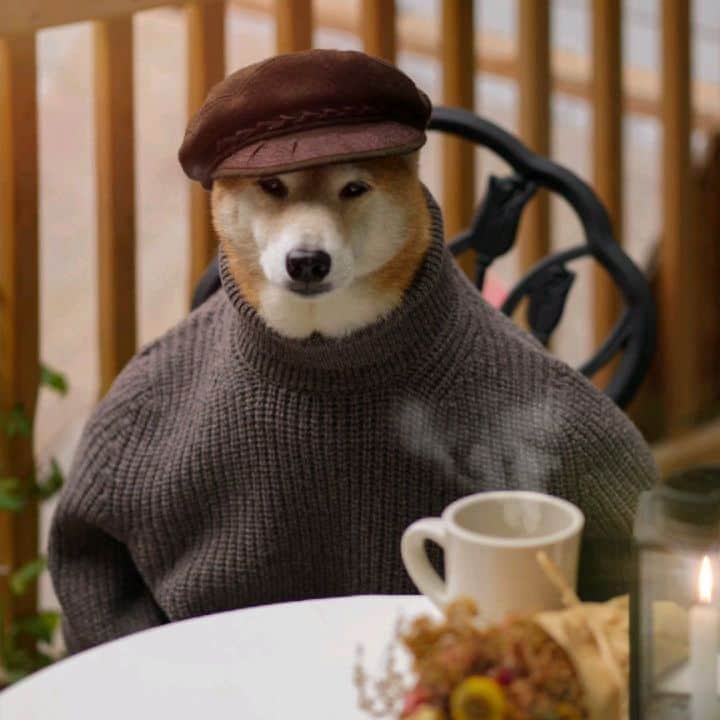 のインスタグラム：「🍁 Fall Fits on Fine 🍁  Wool Fisherman cap: @jjhatcenternyc Turtleneck: @brooksbrothers Coffee: Fresh Ground Chemex Drip」