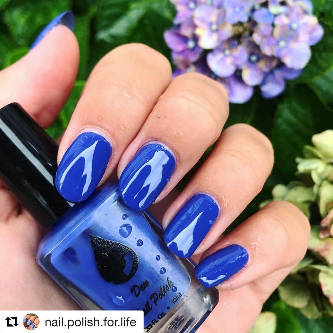 Nail Designsさんのインスタグラム写真 - (Nail DesignsInstagram)「Credit: @nail.polish.for.life  ・・・ This is the second swatch of my gifted @dewnailpolish!! This color is called “Twinkle” and is a deep royal blue creme! It is opaque in two coats and is such a gorgeous color! 🤩  Use my code “Megan25” for 25% off your orders at dewnailpolish.com!  @dewnailpolish #dewnailpolish #swatch #gifted #blue #beautiful #twinkle」9月26日 4時00分 - nailartfeature