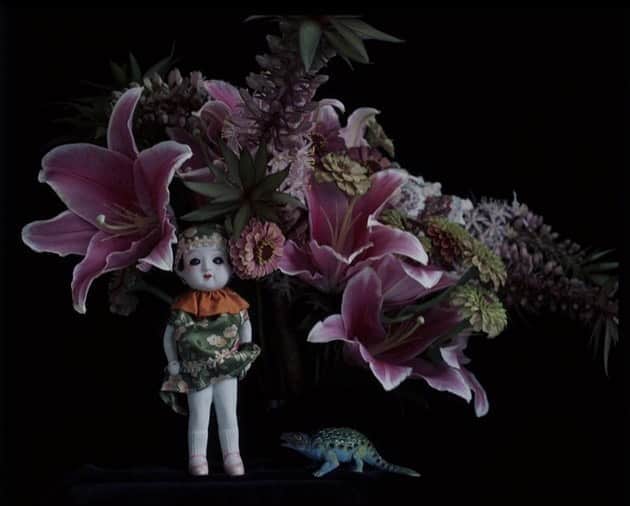 AnOther Magazineさんのインスタグラム写真 - (AnOther MagazineInstagram)「#FridayFlowers – moody blooms by Japanese photographer Nobuyoshi Araki 🥀⁠⠀ ⁠⠀ Explore more of Araki’s photography at the link in our bio 📲⁠⠀」9月26日 5時21分 - anothermagazine