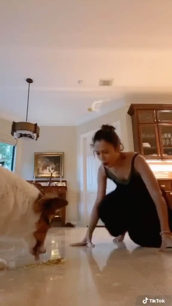 リザ・コッシーのインスタグラム：「my emotional support dog at work」
