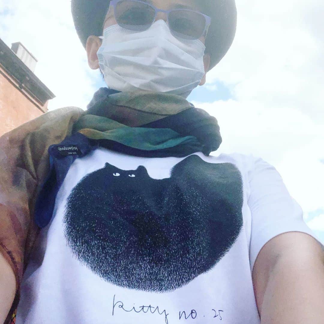 のインスタグラム：「@kamweiatwork @uniqlo #catsarepurrfect #kamweifong #ユニクロ #どっこい生きてるシャツの中 . . まぁ着てるうちにプリントも欲しくなってきたよね……。」