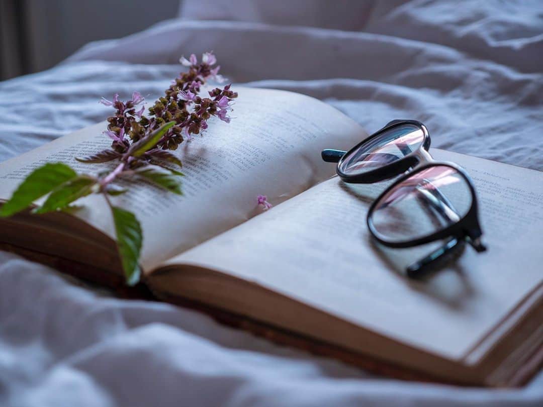 ナタリア・ディルのインスタグラム：「Mood do fim de sexta! O que vocês tem lido nesses dias? 📖 Mandem indicações 👇  📸 @rogerio_boettger」