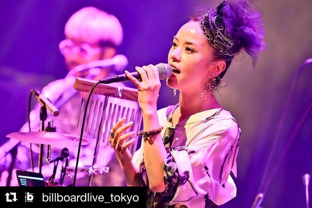 azumiのインスタグラム：「先日のビルボードライブ東京のライブレポートがアップされました。来月の大阪ライブに向けぜひご一読を😌🎤 みんなカッコいいな 早くライブやりたい  @billboardlive_tokyo with  ・・・ 【Live Report】9/19（土）にビルボードライブ東京で行われた『Wyolica 20th Anniversary Premium Live-who said “La La…”? Billboard Tour 2020-』のライブレポートがBillboard JAPANに掲載されました📝大阪公演は10/20（火）に開催されますので、お見逃しなく！﻿ ﻿ ▼＜ライブレポート＞結成20年目の再始動で紡ぐブレない意思と繊細な心模様　ソロ活動を経たWyolicaが発する、デビュー作に込められた癒しと勇気のヴァイブレイションに浸る秋の夕べ﻿ http://www.billboard-japan.com/d_news/detail/92543﻿ ﻿ ▼Wyolica﻿ 20th Anniversary Premium Live-who said “La La…”? Billboard Tour 2020-﻿ 9/19(Sat) @billboardlive_tokyo ※終了﻿ 10/20(Tue) @billboardlive_osaka﻿ ﻿ #billboardlive #Wyolica #billboardlivetokyo #livereport #livephoto﻿ ﻿ Photo：Masanori Naruse @mnp.hoto」