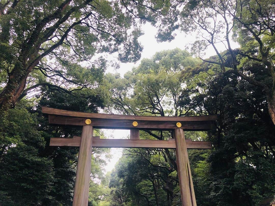 のインスタグラム：「.  あたらしい作品へ入ります。  本日ご挨拶へ。 明治神宮へお参り。 そして。 とある、お寺様の とある御方の墓所へお参り。 よろしくお願い申し上げます。  粛々とがんばります。  #明治神宮 #meijishrine #shrine #temple #movie #studio #location #tokyo #japan #photo #staff #actor #artist #withafterpost」