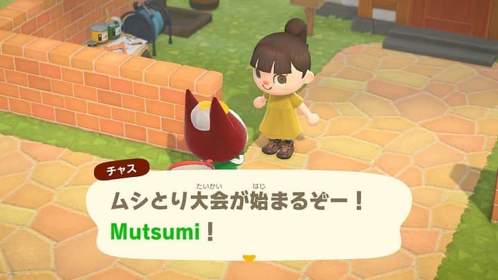 睦のインスタグラム：「ムシとり大会、 参加しまーす🙋‍♀️  今年最後だとか。  今日の18時までとか。  間に合って嬉しい‼️😆  #nintendoswitch  #nintendo  #友達　 #friends  #friend  #あつまれどうぶつの森  #あつ森  #tv  #テレビ　 #ゲーム  #game  #ムシとり大会  #レックス  #任天堂  #任天堂スイッチ  #ライブ  #ともだち　 #live  #flick  #acnh  #animalcrossingnewhorizons  #ステイホーム  #stayhome  #作詞家  #artist  #lyricist  #model  #モデル　 #井上睦都実 #睦」