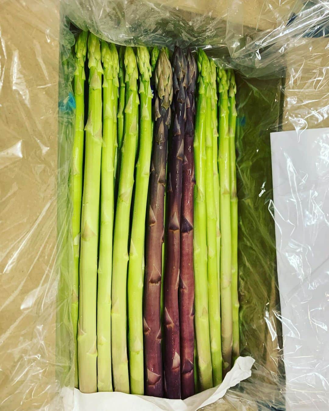 森田まりこさんのインスタグラム写真 - (森田まりこInstagram)「アスパラちゃんだよ‼️ ・ おおもりやさんのアスパラちゃんだよ‼️ ・ なんて柔らかいんでしょう😭あーんおいしすぎるー！！！！！ #おおもりや #さぬきのめざめ ・ サービスの紫アスパラ、ビオレッタちゃんもいてくれました😭 ・ 今夜もガツンとパクっといっちゃうわよ！！！ #アスパラ」9月26日 16時53分 - morita.mariko