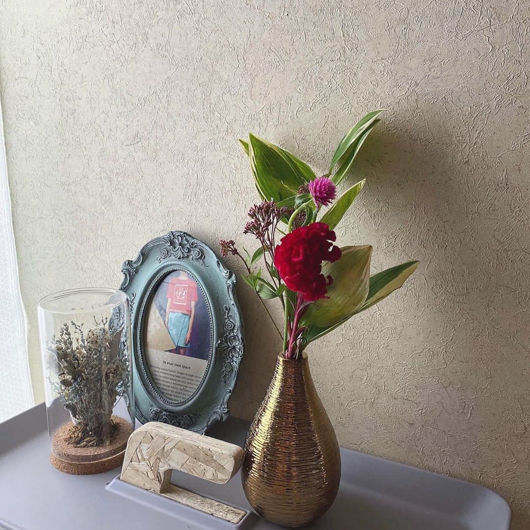 のインスタグラム：「． @medelu_official のお花💐 毎週or隔週の定期便で、お花屋さんが選んでくれるのでマンネリ化しないからいつも新鮮で楽しい♡ ． 100年以上続くお花のプロが鮮度・品質の良い元気なお花だけを届けてくれます🚛わたしはLiteコースをモニターさせて頂きました🌿 ． 先着10名の方のみ初回80％OFFクーポン〝1JO0〟が使えるので、お得すぎるこの機会に是非体験してみてください☻ ． #medelu #お花の定期便」
