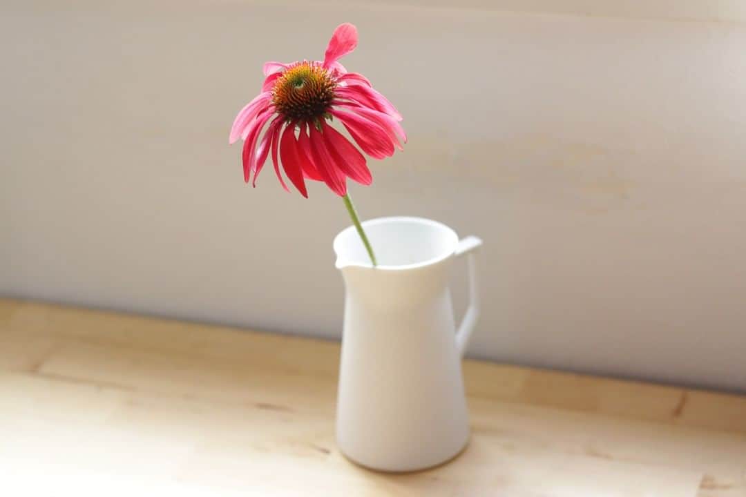 LOVEGREEN -植物と暮らしを豊かに。さんのインスタグラム写真 - (LOVEGREEN -植物と暮らしを豊かに。Instagram)「［migiwaフラワーベース］  見る人を幸福感で満たしてくれるお花✿ 「migiwaフラワーベース」は、そんなお花たちを、暮らしの中に取り入れやすくしてくれます。  ***migiwaフラワーベースってどんな花瓶？***  ■シンプルでお花を飾りやすい シンプルで洗練されたフォルムは お花を引き立てると同時に、美しい暮らしの景色をつくるのにも一役買う存在に◎ お花だけでなくグリーンを飾っても素敵ですよ🙆‍♀️  ■メンテナンス楽ちん♪ 花瓶の中までしっかり見え、口も広いので水替えや底の掃除など、メンテナンスのしやすさもポイント。  ■年中使える どんな季節のお花も合わせやすく、一年中お使いいただけます。  ■一つ一つ手作り 佐賀県にある伊万里焼の名窯「畑萬陶苑」の職人により一つ一つ作られています。  *****************************  花瓶はもちろん様々な活用法が発見できるかも😉 使い方はあなた次第。  お花を飾るのが楽しみになる花瓶「migiwaフラワーベース」 詳しくは、プロフィールURLからご覧ください🌱 . . #migiwaフラワーベース #みぎわフラワーベース #フラワーベース #シンプルな暮らし #シンプルライフ #暮らしを楽しむ #日々の暮らし #シンプルデザイン #賃貸暮らし #植物 #植物のある暮らし #植物のある生活 #植物と暮らす #植物が好き #インテリア雑貨 #北欧インテリア #インテリア小物 #インテリア好き #インテリア植物 #インテリアフラワー #ナチュラルインテリア #花 #花のある暮らし #花束 #花瓶 #伊万里焼 #花のある生活 #花器 #賃貸インテリア  #flowers」9月26日 9時01分 - lovegreen_official