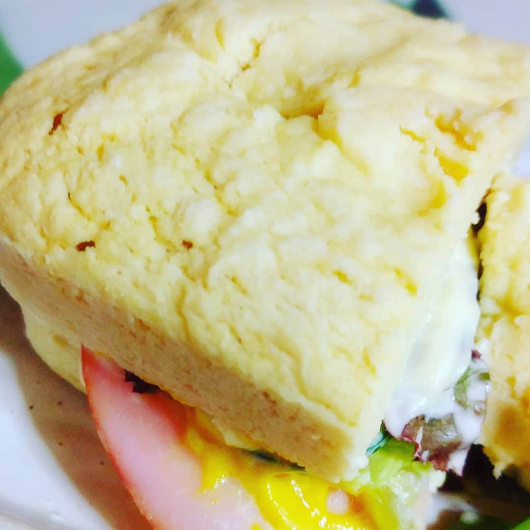 渡辺智子のインスタグラム：「おからパウダーでサンドイッチ！！ 簡単！！美味しい！　お腹に溜まる！  #Marvelouspro #マーベラスプロレス #糖質制限中 #おからパウダーでパン」