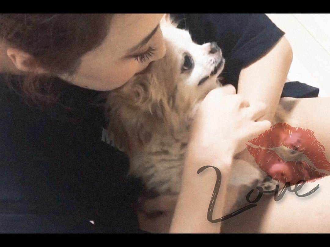 YUKINAのインスタグラム：「🐶🍓🐶🍓🐶﻿ ﻿ ﻿ おはす👻🌞﻿ ﻿ ﻿ 📷愛犬プーチと🐶🍓﻿ 結構前に撮った写真やけど🙈笑﻿ ﻿ うちのぷぷたん🐶﻿ 可愛すぎるったらありゃしないっ😍🤤🥰﻿ ﻿ もう食べちゃいたいくらい可愛い💕﻿ ﻿ 小ちゃいし,もふもふしてるし﻿ 優しい甘い匂いがする💓YUKINAの癒し🐶🍓﻿ ﻿ 朝から癒しのシェアハピ 😘﻿ ﻿ ﻿ ーーーーーーーーーーーーーーーーーー﻿ 昨日は,カード初戦勝利✨﻿ Buffaloesの勢いがとまらない😍﻿ ﻿ モヤ選手の満塁ホームラン﻿ ほんとにすごかったですよね👀💫﻿ ﻿ 山岡投手,今季２勝目✨﻿ ﻿ ２人のヒーロー🌟﻿ 有言実行できてよかったです👏🏻👏🏻👏🏻👏🏻👏🏻﻿ ﻿ この勢いで今日も勝つでぇ💪🏻🔥﻿ ﻿ 本日⚾️14:00〜PLAYBALL⚾️﻿ ーーーーーーーーーーーーーーーーーー﻿ ﻿ ﻿ 試合前《12:30〜》﻿ 💎BsGirlsオンラインステージ💎﻿ @BsTV 生配信⚡️﻿ ﻿ 今回は,オリックス・バファローズ﻿ 球団公式YouTube『BsTV』から生配信🤘🏻✨﻿ ﻿ 横画面で配信致します💕﻿ ﻿ 是非！ご視聴くださいヽ|´　`*ξ|ﾉ﻿ ﻿ ﻿ ﻿ ﻿ ほな！また後ほどね🤸🏼🤸🏼🤸🏼🤸🏼🤸🏼﻿ ﻿ ﻿ ﻿ ﻿ ﻿ ﻿ ﻿ ﻿ #オリックス #Bs2020 #BsGirls #プロ野球﻿ #ORIX #buffaloes #野球女子 #公式﻿ #official #followme #オリ姫﻿ #342 #YUKINA #yukina_342 #selfie﻿ #愛犬 #チワワ #ふわふわ #もふもふ #🐶﻿ #癒し #シェアハピ #YouTube #YouTubeLive﻿ #オンライン #アクロバット #アクロバット女子﻿ #ナチュラルメイク #自まつげ #ロングまつげ」