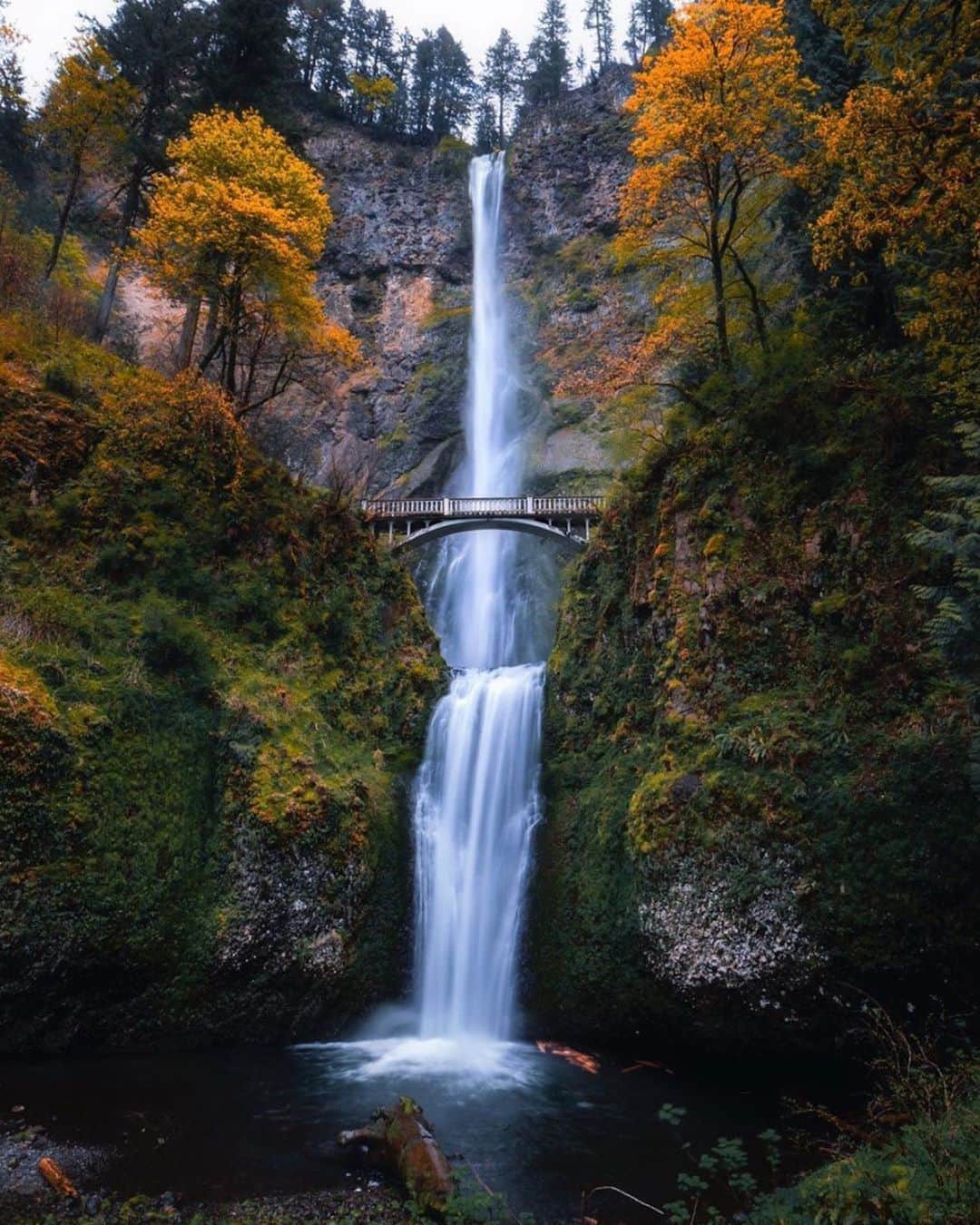 のインスタグラム：「Fall is offically here! 🍂 Follow @Oregon.nw to catch all the fall vibes! - 📷: @droptheframe  #Portland #PortlandNW #PDX #OregonNW #PNW #Fall」