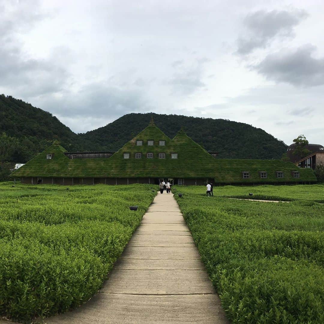 ループウィラーのグルメインスタ