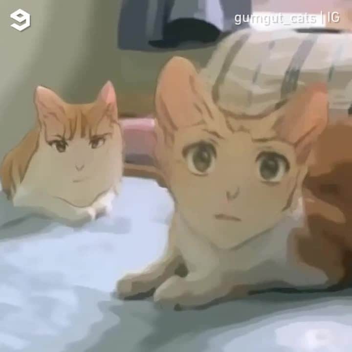 Aww Clubのインスタグラム
