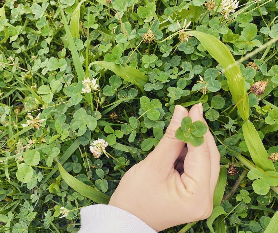 足立佳奈のインスタグラム：「おはよう！ 今日もみんなでHAPPYにっ🍀  どきどきっ」