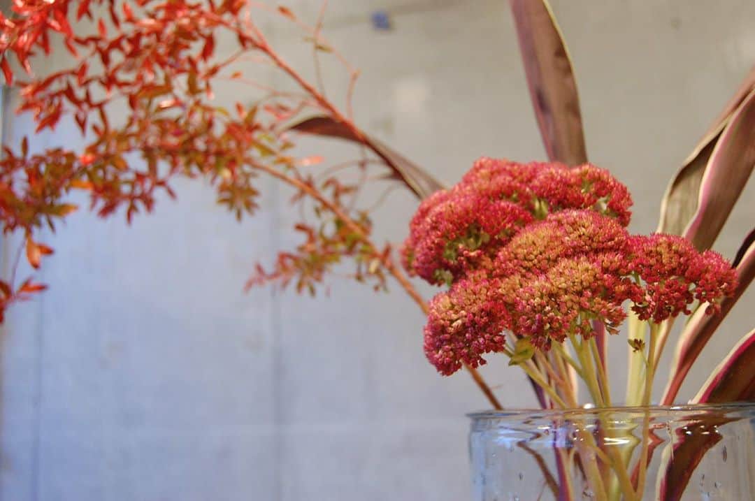 CRAFT CHOCOLATE WORKSのグルメインスタ