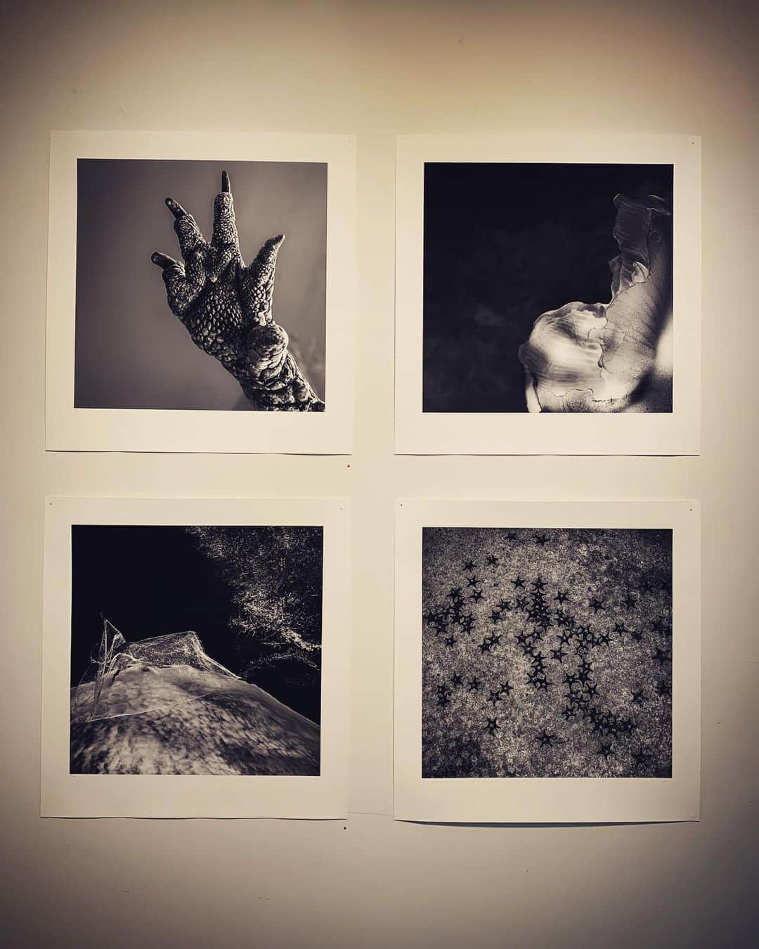 二木あいのグルメインスタ