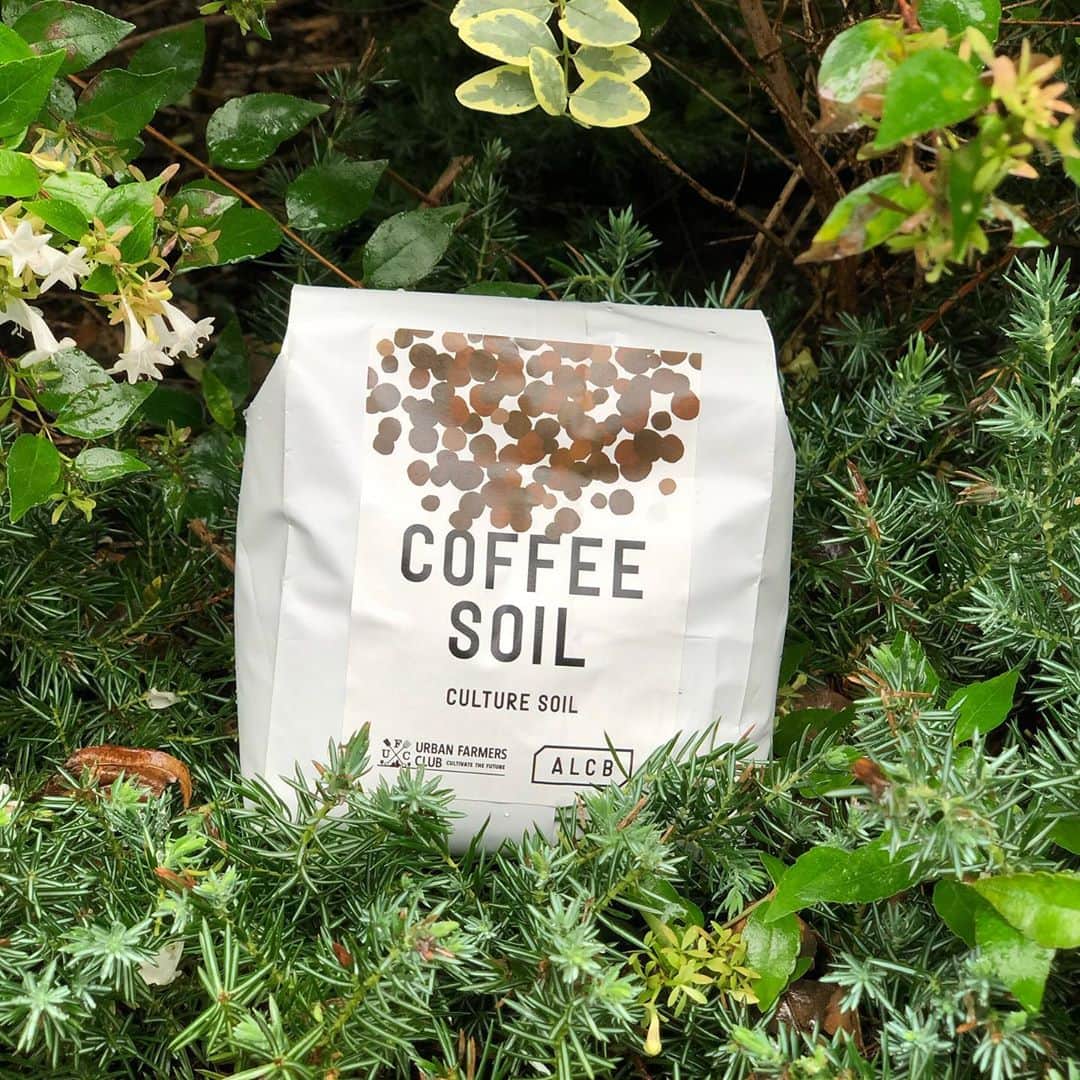 ABOUT LIFE COFFEE BREWERSさんのインスタグラム写真 - (ABOUT LIFE COFFEE BREWERSInstagram)「ALCBでもコーヒーソイル販売中ですー！🌱 都心の中での有機物を循環させるべく、使い終わったコーヒーカスで作った培養土を販売しています。 培養土の仕込み内容は、もみがら、落ち葉、米ぬか、コーヒーカス、鶏糞、完熟堆肥を配合。 仕込み場所は、三鷹の鴨志田農園さん。 栄養価が高く、野菜や果樹におすすめです！✌️  We're selling coffee soil at ALCB☺️ Please use for vegetable and fruits🍅🍆🌽🍑🍓🍋  #aboutlifecoffeebrewers #aboutlifecoffee #onibuscoffee #onibuscoffeenakameguro #ratiocoffeeandcycle #akitocoffee #stylecoffee #specialtycoffee #tokyocoffee #tokyocafe #shibuya #tokyo」9月26日 11時43分 - aboutlifecoffeebrewers