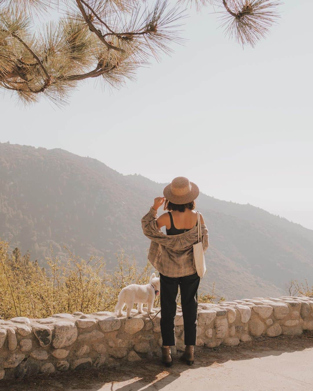 W E Y L I Eのインスタグラム：「Wah & I took a spontaneous trip to the mountains today and it was definitely a day to remember. We brought all 3 doggos & they were so happy too ☺️ My favorite moment was looking out at this view with Money. I always wonder if she appreciates these little moments and remembers them. 🌸」