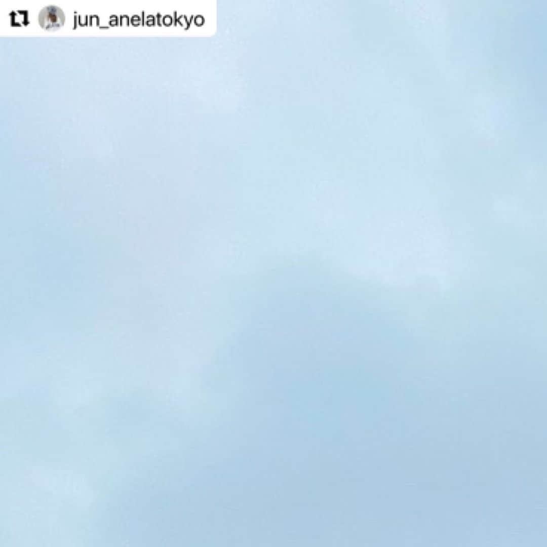 ANELA TOKYOのインスタグラム