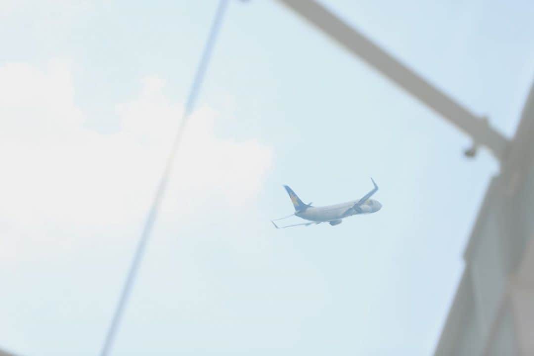 17人をフォロー中 【結婚式場】ラヴィマーナ神戸ウエディングのグルメインスタ