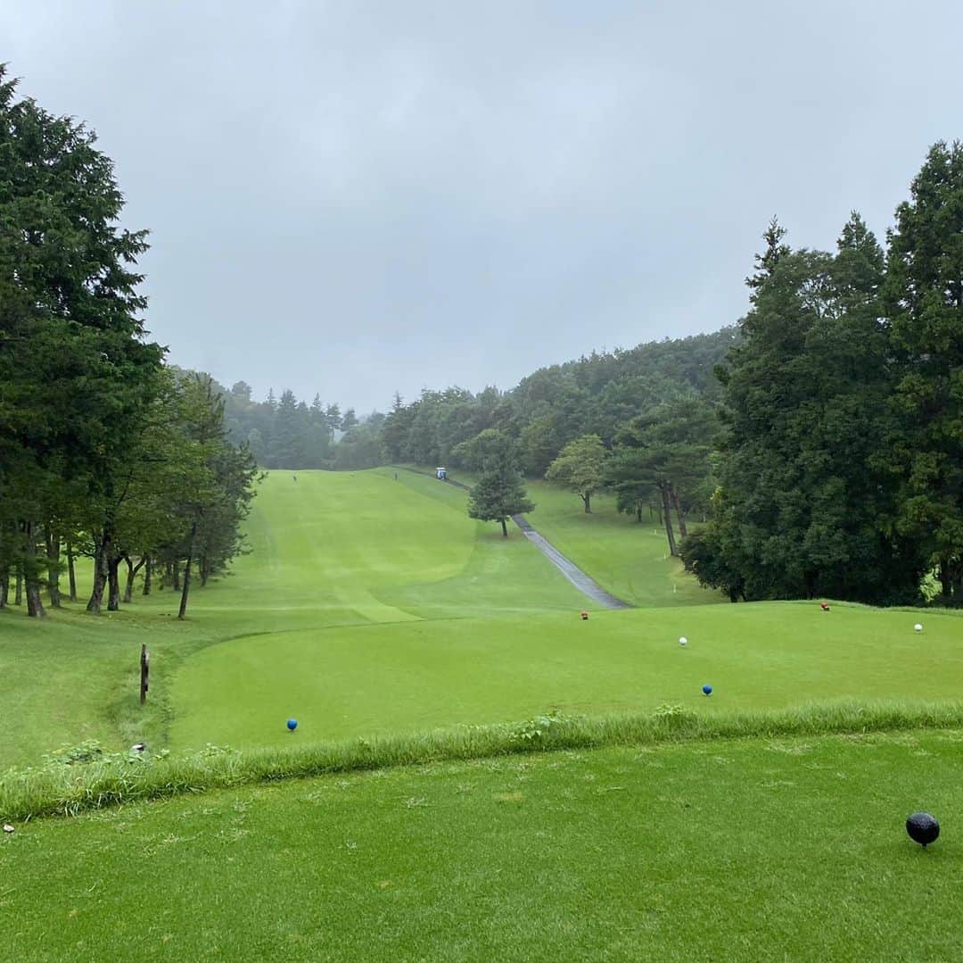 三浦辰施さんのインスタグラム写真 - (三浦辰施Instagram)「雨のラウンドレッスン☔️ @tampro.golf_diet だす。 今日はノンプレーにてレッスンに没頭してます。。。 と言いたいところですが「クラブを振ることってこういうこと」って話しだけで数ホールで大体皆んな球筋が変わって 「え〜なんで〜」ってなるので あとは一緒におもしろがって気分を乗せていくだけw ☆ ☆ 今日のラウンドレッスンの生徒さんがアドレスしていてスゴいことに気づいて　それ以降しばらくその話で持ちきりになっとりますが。。。 ☆ それは。。。また書きますw ☆ ☆ #雨ゴルフ #クラブの振りかた #大体ハーフで球筋が変わる  【#ゴルフ】【#golf】【#골프】 ・ 【#ダイエット】【#ダイエット成功】 【#2年間で60キロのダイエットに成功したプロゴルファーの生活 】 ・ 【#ゴルフスイング】 【#ゴルフレッスン】 【#ゴルフレッスン動画】 【#golfnetTV】【#Gridge】 ・ 【#ティーチングプロ】 【#ゴルフコーチ】 【#三浦辰施】　【#たむプロ】 ・ 【#インドアゴルフ】 【#PleasureGOLF市が尾】 【#PleasureGOLFAtsugiTrellis】 【#打ちっぱなし】 ・ 【#ゴルフ初心者】【#ゴルフバカ】 ・ 【#ゴルフウェア】 【#アルチビオ】【#archivio】 【#ブッシュネル】【#azasgolf】」9月26日 12時25分 - tampro.golf_diet