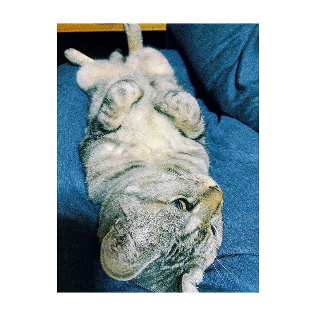 みなみのインスタグラム：「ฅ^._.^ ฅ」