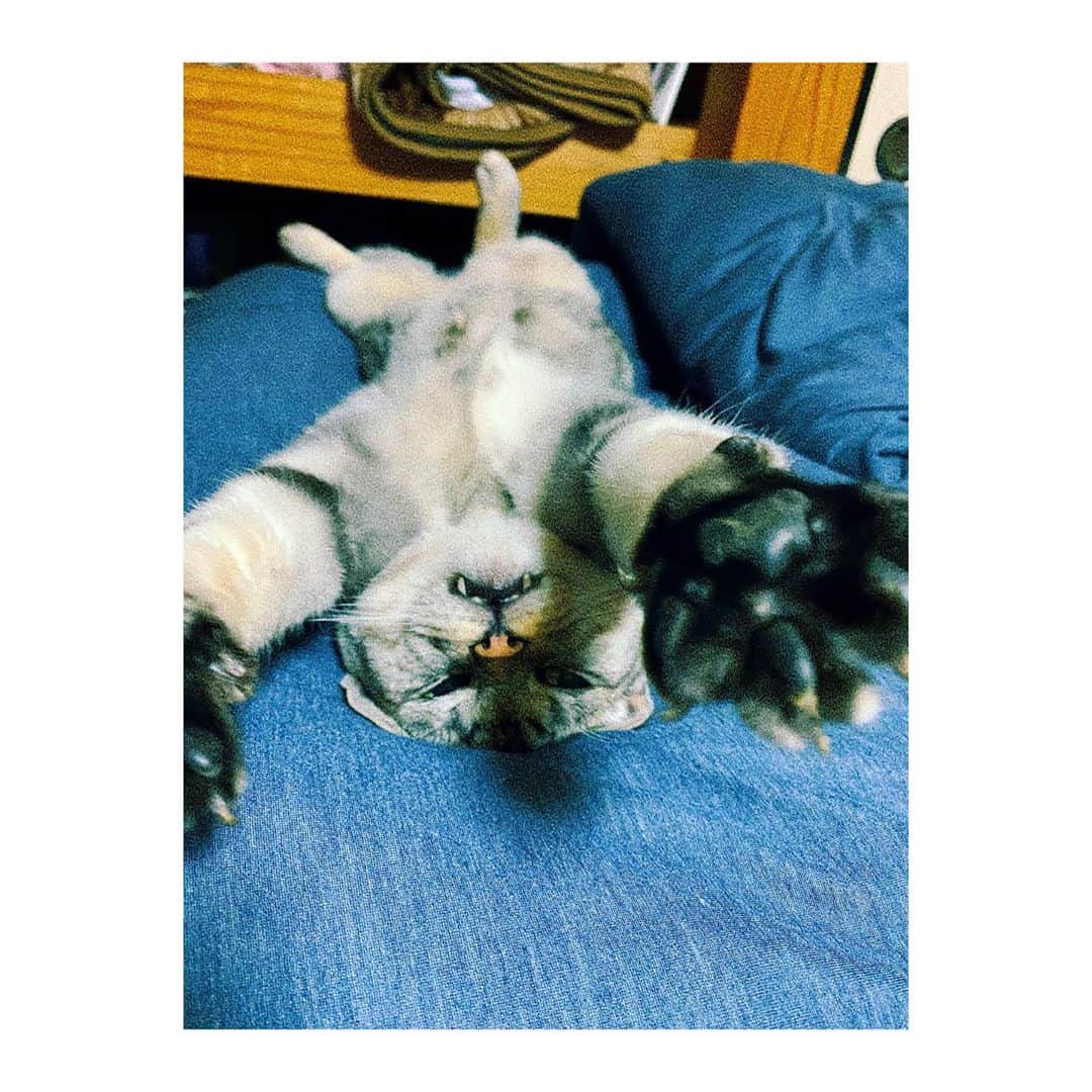 みなみのインスタグラム：「^-∞-^」