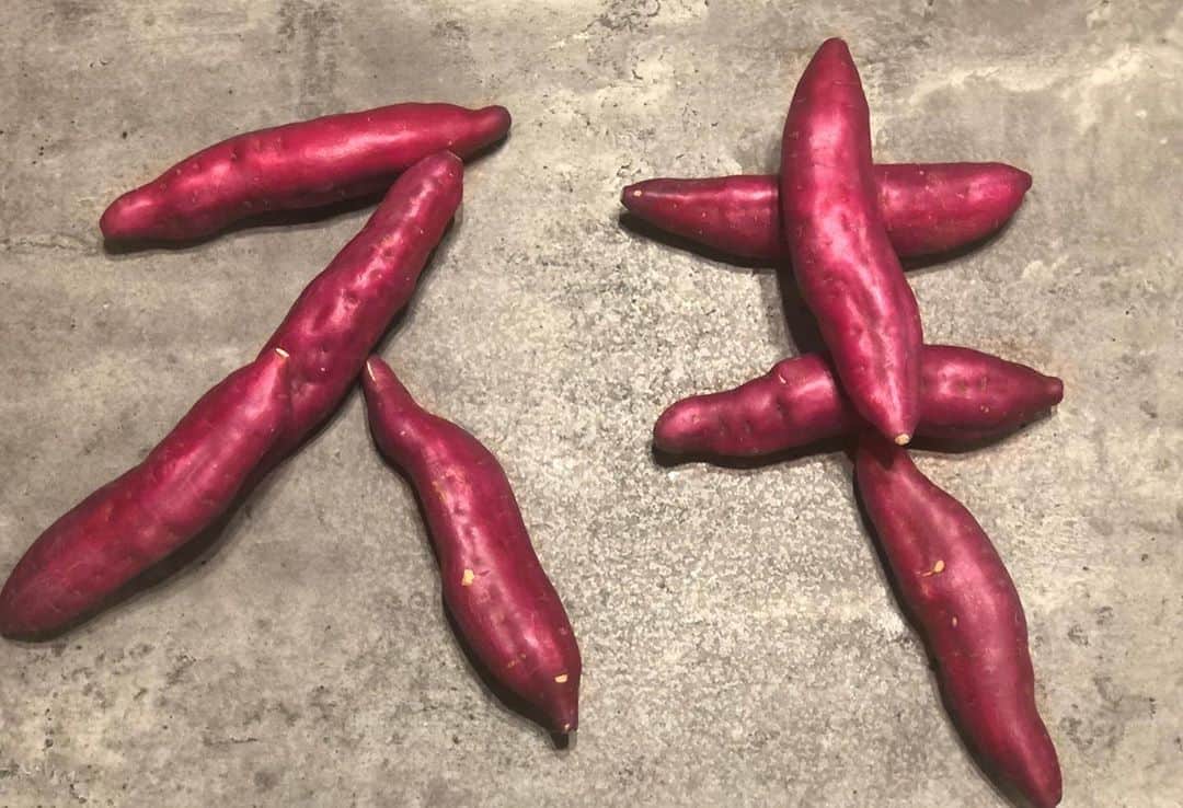 福田多希子さんのインスタグラム写真 - (福田多希子Instagram)「Love🍠❤️ 頂いて帰ってきた👴🏻  私サツマイモが食べ物で一番好きです  #サツマイモ #鳴門金時 #徳島 #農家ソムリエーず」9月26日 12時51分 - yomeponta