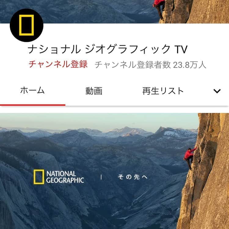 天明麻衣子のインスタグラム：「ナショナルジオグラフィックのyoutubeチャンネルにて、明日トークセッションを生配信します！  ナショジオ公認のエクスプローラー（探求者）たちの取り組みや、情熱の源を探る「THE SPARK: WHERE EXPLORERS BEGIN」の初回です😊  ゲストは、エジプト考古学者の河江肖剰さん✨私はモデレーターをつとめます。小さい頃からエジプトやピラミッド特集の番組が大好きだったので、聞きたいことがたくさん！  明日の午後4時から、youtubeでお会いしましょう〜💕 #ナショナルジオグラフィック #youtube #エクスプローラー #エジプト #ピラミッド #発掘 #探求者 #thespark #トークセッション #明日16時から」