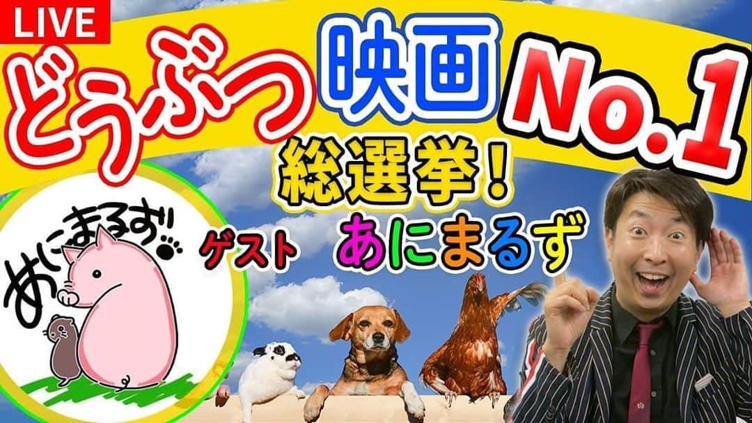 有村昆さんのインスタグラム写真 - (有村昆Instagram)「9月27日日曜夜10時〜【生配信】 集まれ！#どうぶつ映画 No. 1総選挙！#可愛い #動物 大集合！  ゲスト #あにまるず  #有村昆　の　#シネマラボ　YouTube  ↓↓↓ https://youtu.be/XGACcoj3sL0   あにまるずさんとのコラボ企画だよ❣️動物映画をみんなで生で語って癒されよう！映画ファンあつまれ！」9月26日 14時38分 - kon_arimura