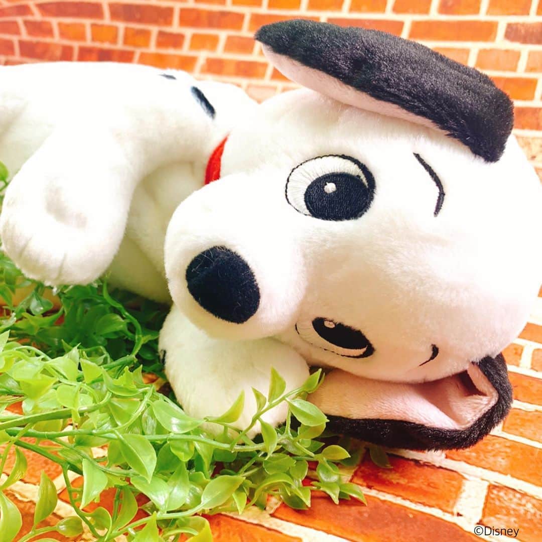 KIDDY LAND officialのインスタグラム
