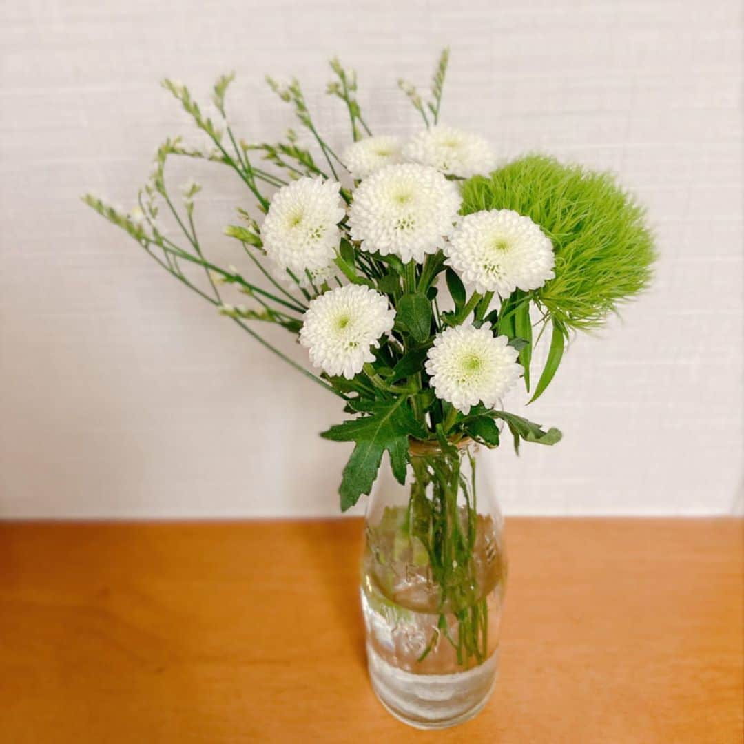 星野みちるさんのインスタグラム写真 - (星野みちるInstagram)「今週のお花は、 SPマム、リモニュームHB、テマリソウとなっております。 全部聞いたことない。笑 ちっちゃいお花、咲くのかなぁ？？(*≧∀≦*) #bloomeelife #bloomeelifeはじめました #お花の定期便 #お花」9月26日 17時59分 - hoshinomichiru
