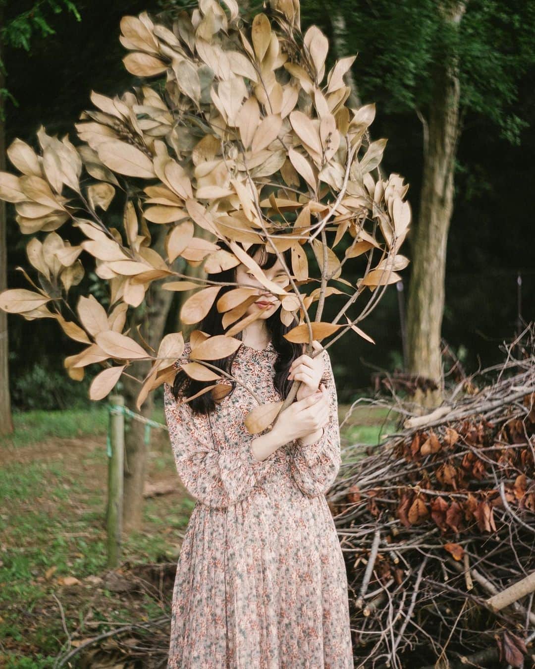 haru wagnusのインスタグラム：「She hides away, from autumn flow ㅤㅤㅤㅤㅤㅤㅤㅤㅤㅤㅤㅤㅤ ㅤㅤㅤㅤㅤㅤㅤㅤㅤㅤㅤㅤㅤ いよいよ明日は @4silentbirds と富士フイルムの共同開催フォトウォーク。長い間たくさん準備を仲間たちとしてきたので最高な１日にしたいな☺︎  ㅤㅤㅤㅤㅤㅤㅤㅤㅤㅤㅤㅤㅤ #lomography400」