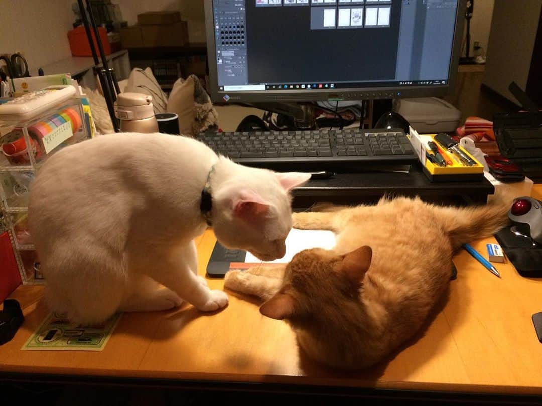 岡田屋鉄蔵のインスタグラム：「何故、ここでやる？」
